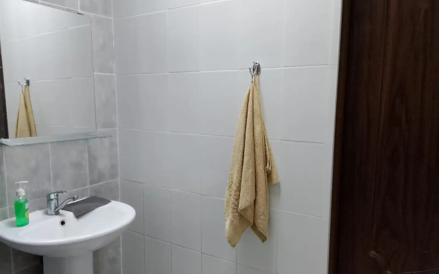 Studiya V Tsentre Flat