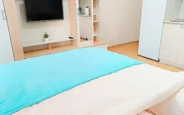 Апартаменты на Старошоссейной улице 5/2