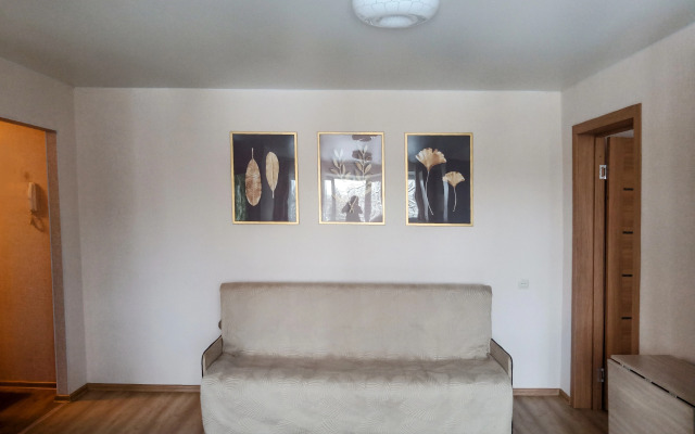 V Tsentre U Reki Pskovy Flat