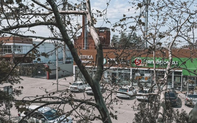 Квартира однокомнатная в центре