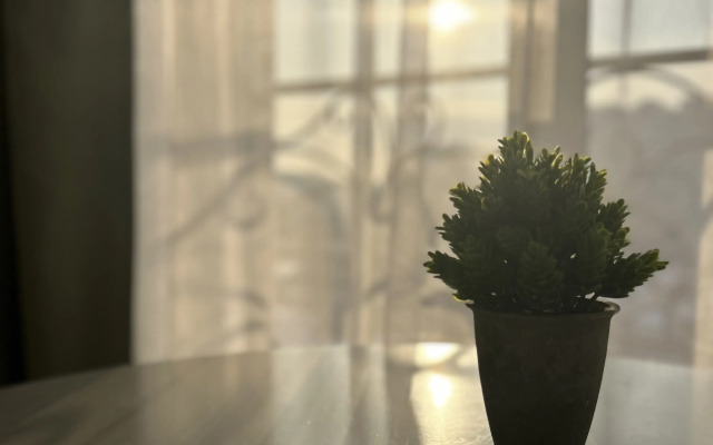 Апартаменты Студия 4.2