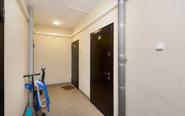 Uyutnaya Studiya Na Drevlyanke Flat