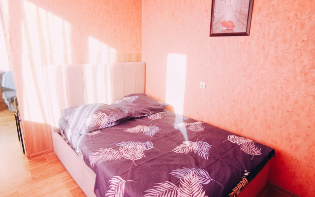 Studiya Na Sarmanovskom Trakte Flat