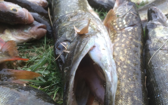 База отдыха Замок