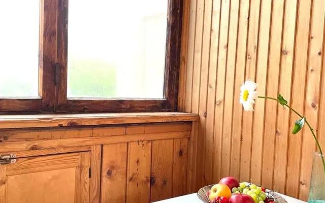 Servisnye apartamenty na prospekte Lenina Flat