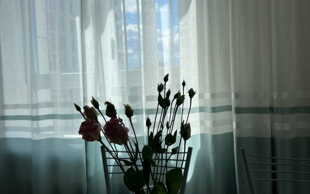 2 Komnatnaya Kvartira U Metro Botanicheskiy Sad Flat