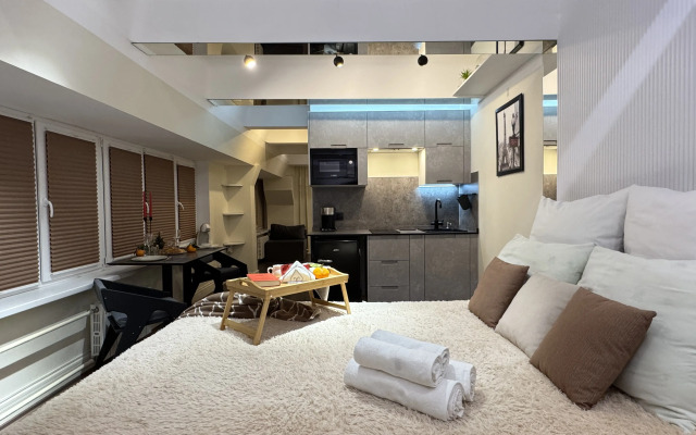 Uyutnye K 513 Apartments