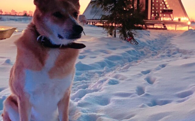 Гостевой дом Советов на Вазузе