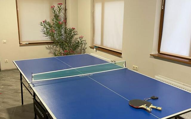 Gostevoy Dom Biryuzovy Guest House