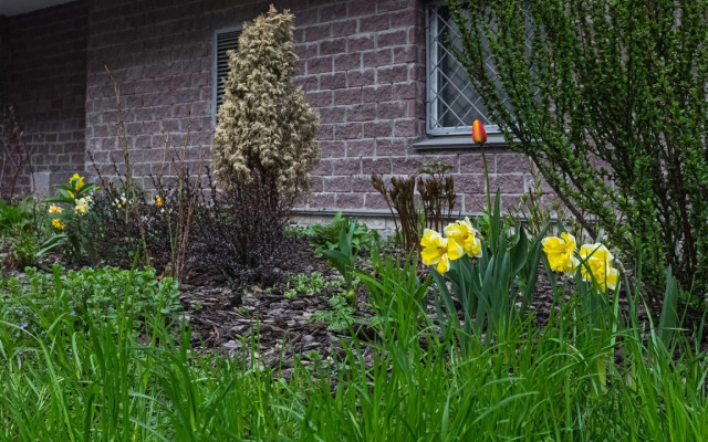 Апартаменты Морская Рапсодия