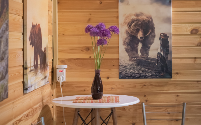 Bereg U Lesa Guest House