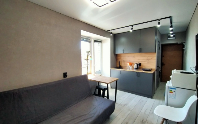 Квартира Мини-студия в Центре на Чехова 17