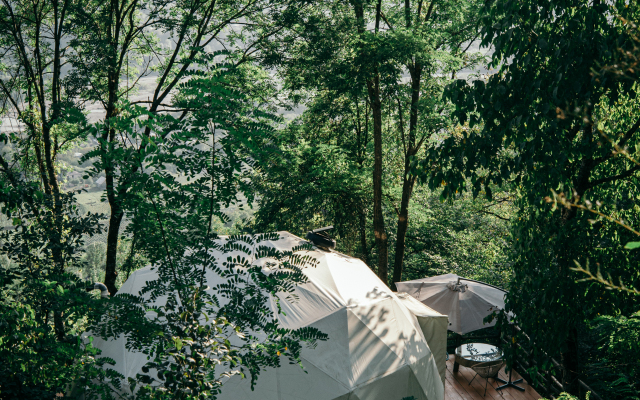 Wine Space Glamping