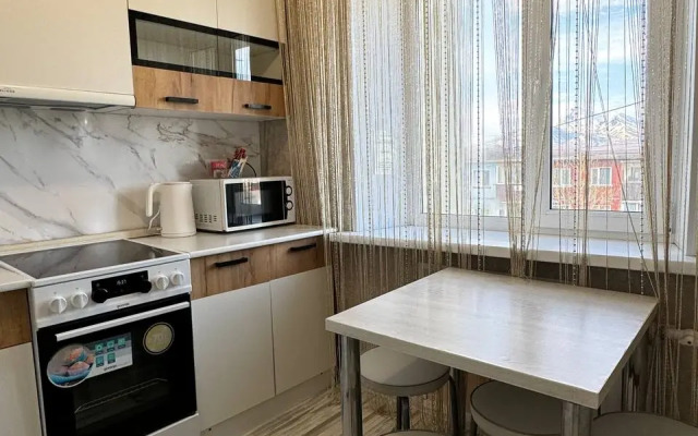 Апартаменты Созвездие Камчатки с красивым видом на вулканы