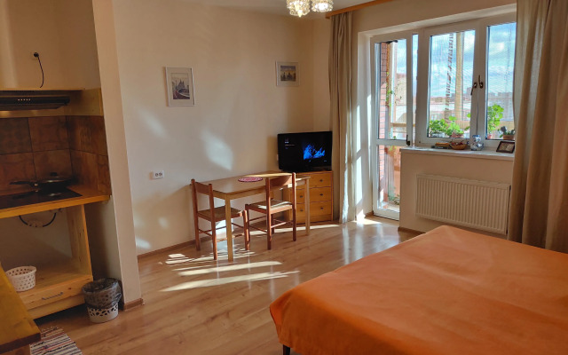 Апартаменты Премиум Студия