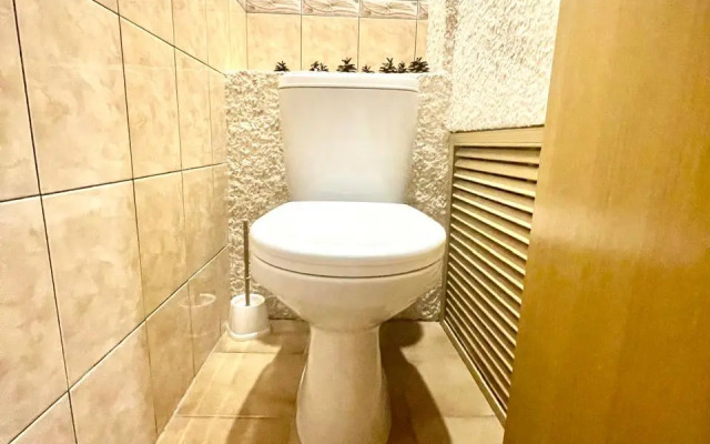 Квартира 3х комнатная в центре