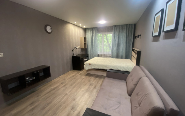 Квартира однокомнатная на Кижеватова 9