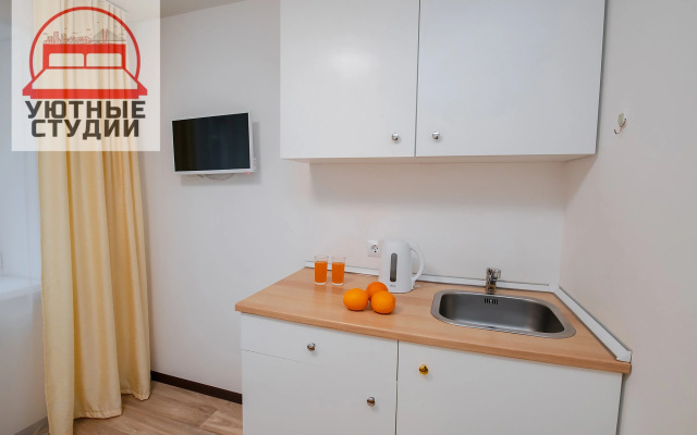 Квартира-студия 1 на Баляева