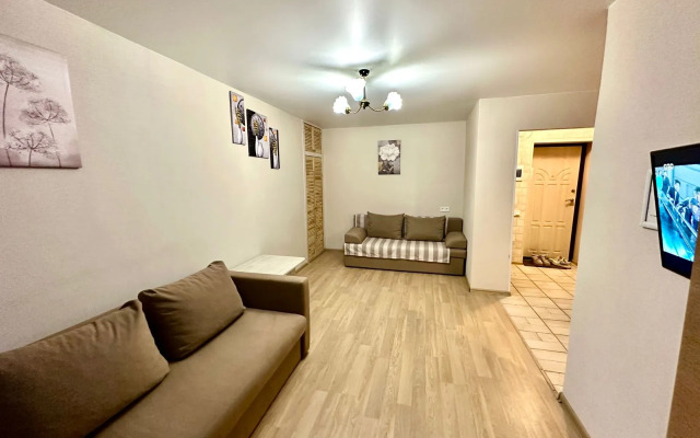 Odnushka Na ploschadi Gorykogo Apartments