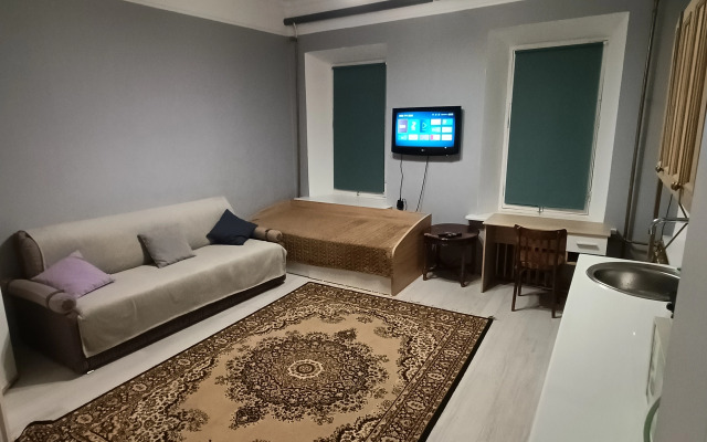 Квартира Студия в центре Волкова 3