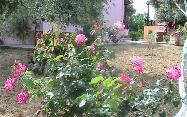 Afroditi Villa