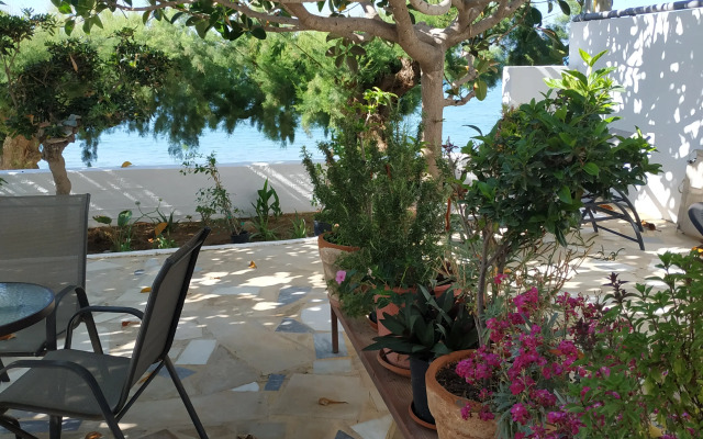 Creta Sun Apartments