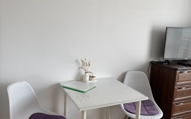 Uyutnaya studiya Flat