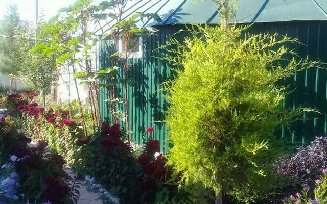 Хостел Kitob Sayyoh