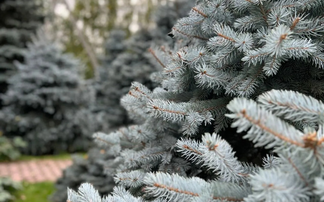 Отель Изумруд