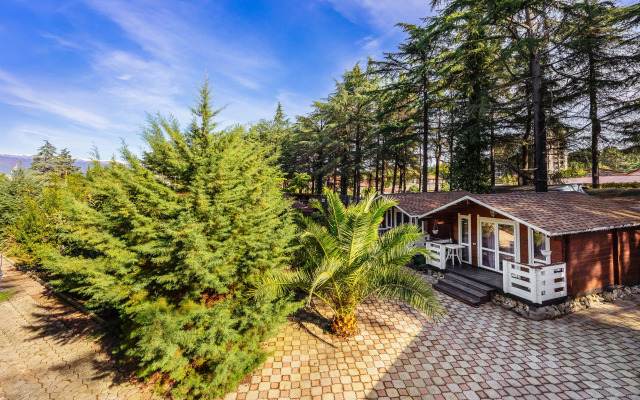 Hotel Eco House Pitiunt Resort