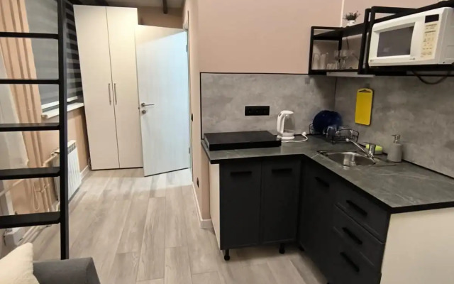 Апартаменты Студия в Москве 208