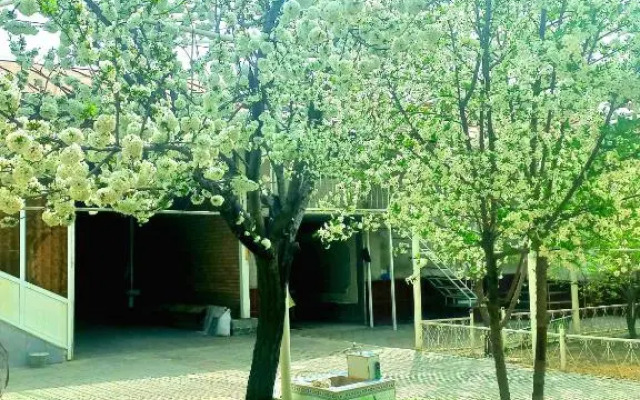 Хостел Colibri Traditional Hostel