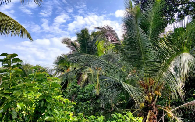 Villa 51 - Ground Floor Villa