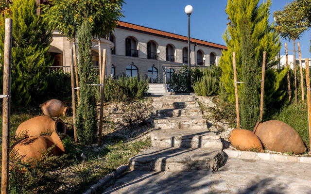 Отель Panorama Kakheti Resort