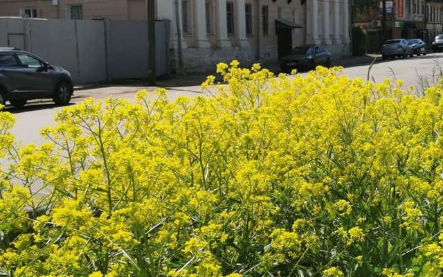 Апартаменты Фарфор и соловей Loft-усадьба на Черниговской