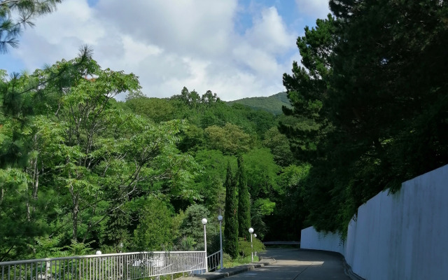 Sola Guest house