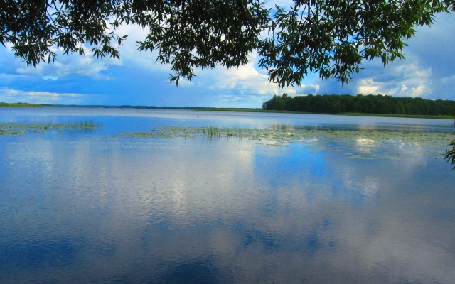 Мини-Отель Усадьба 4 сезона