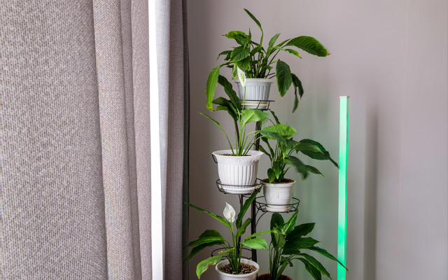 Квартира Уютная на Тухачевского