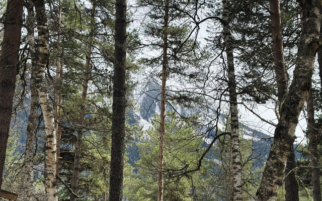 12 Mesyatsev Recreation camp