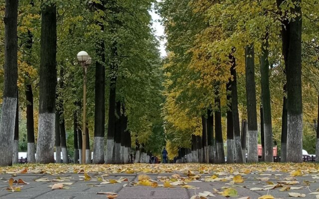 Flat s Parkovkoy i Otdelnym Vkhodom