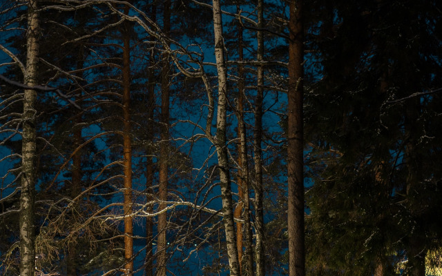 Глэмпинг Террасы