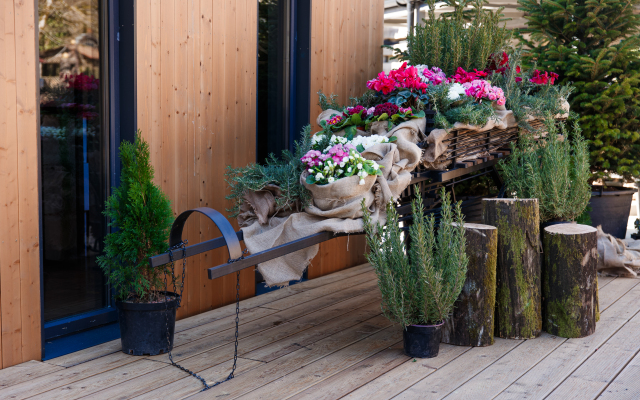 Yenot Glamping