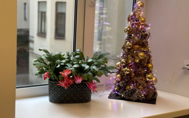 Квартира Евродвушка на Васильевском