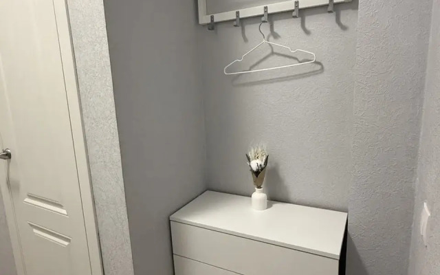 Studiya V Tsentre Yaroslavlya Flat
