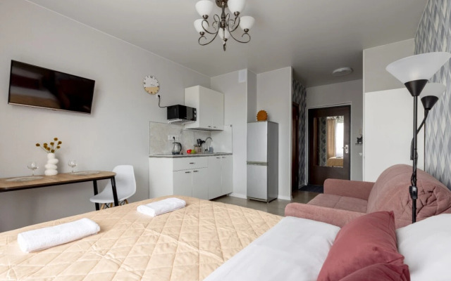 1 V Yanino Apartment