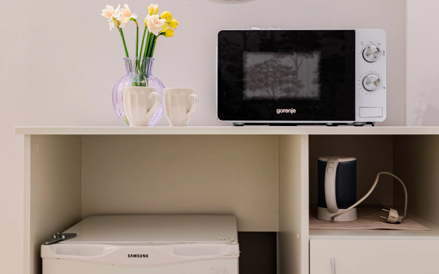 Апартаменты Невский 102