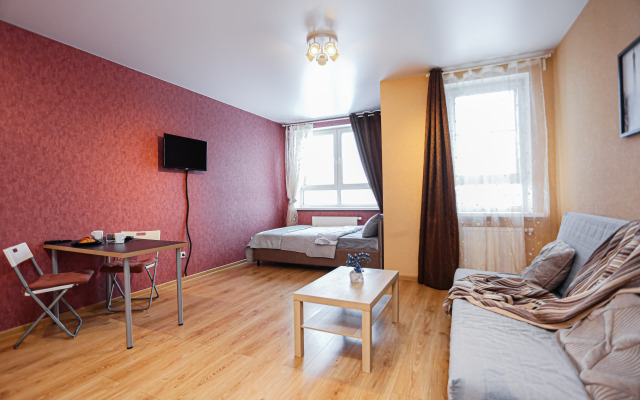 Studiya V Gagarinskikh Vysotakh Flat
