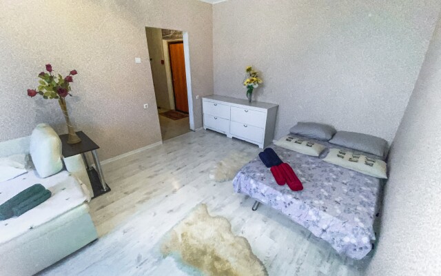 Uyutnaya Kvartira Vozle Sheremetyevo Apartments