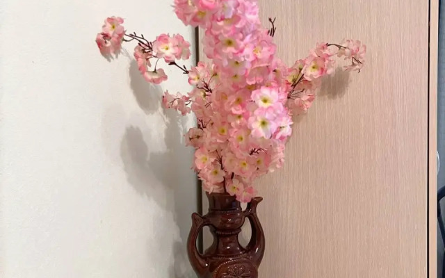 Квартира со Всеми Удобствами