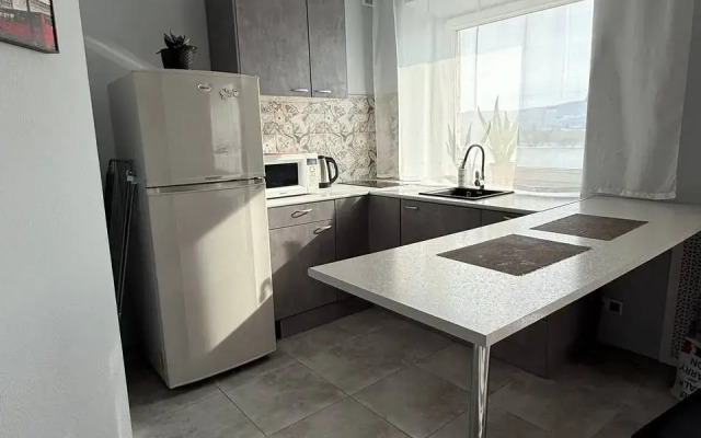 Апартаменты Дубровинского 104